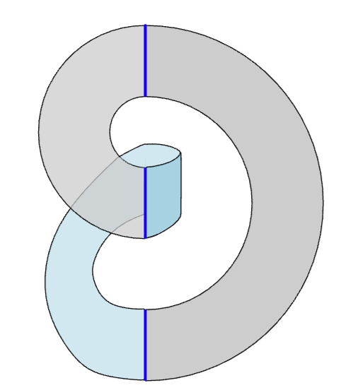 Non-orientable surface