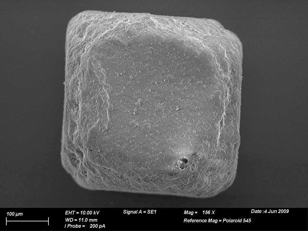 Salt crystals microscopic